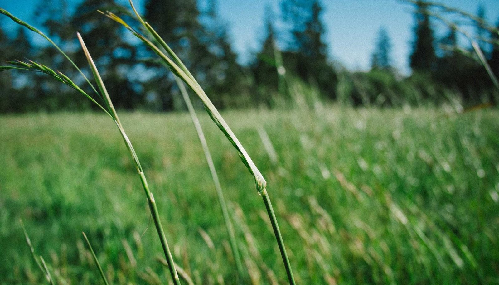 صورة: حل مشكلة بقع الضوء في شاشة سامسونج LED بسهولة وفعالية