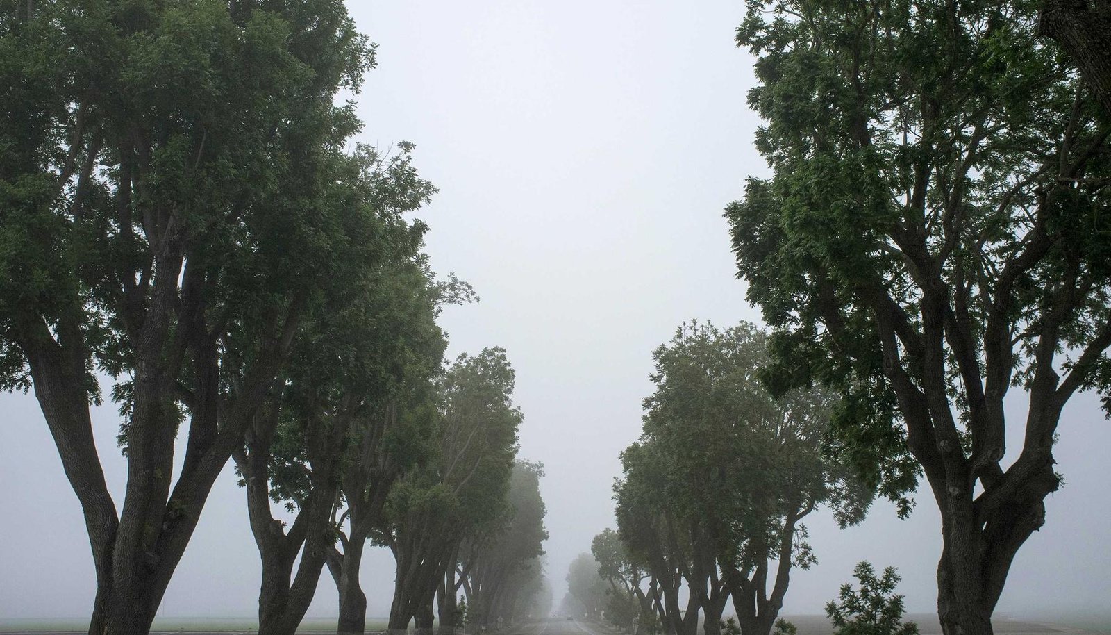 صورة توضيحية: حل نهائي لانقطاع الإنترنت عند تشغيل الفيديوهات والبث الحي بسهولة