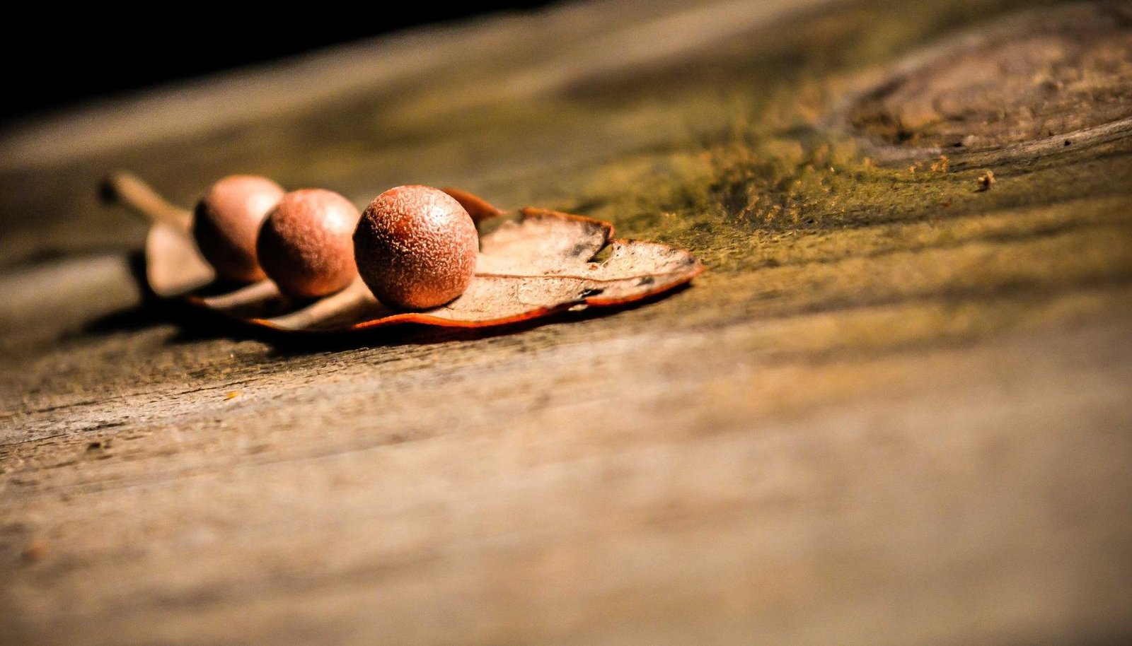 صورة توضيحية: كيف تفتح سناب شات بدون تحميل العدسات بسهولة وسرعة