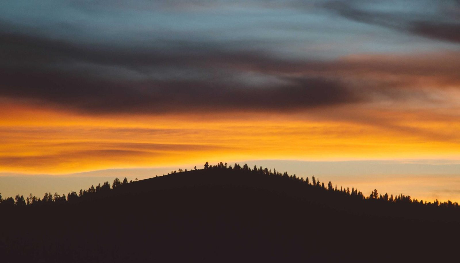 صورة توضيحية: ظهور رسالة Authentication Required؟ اكتشف الحل النهائي السريع!