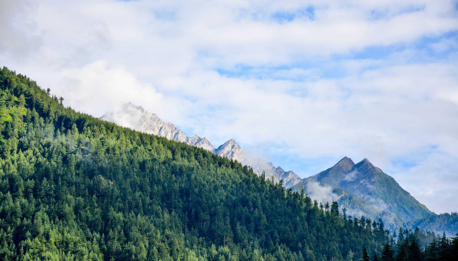 شرح تفصيلي: حل نهائي لانقطاع الإنترنت عند تشغيل الفيديوهات والبث الحي بسهولة