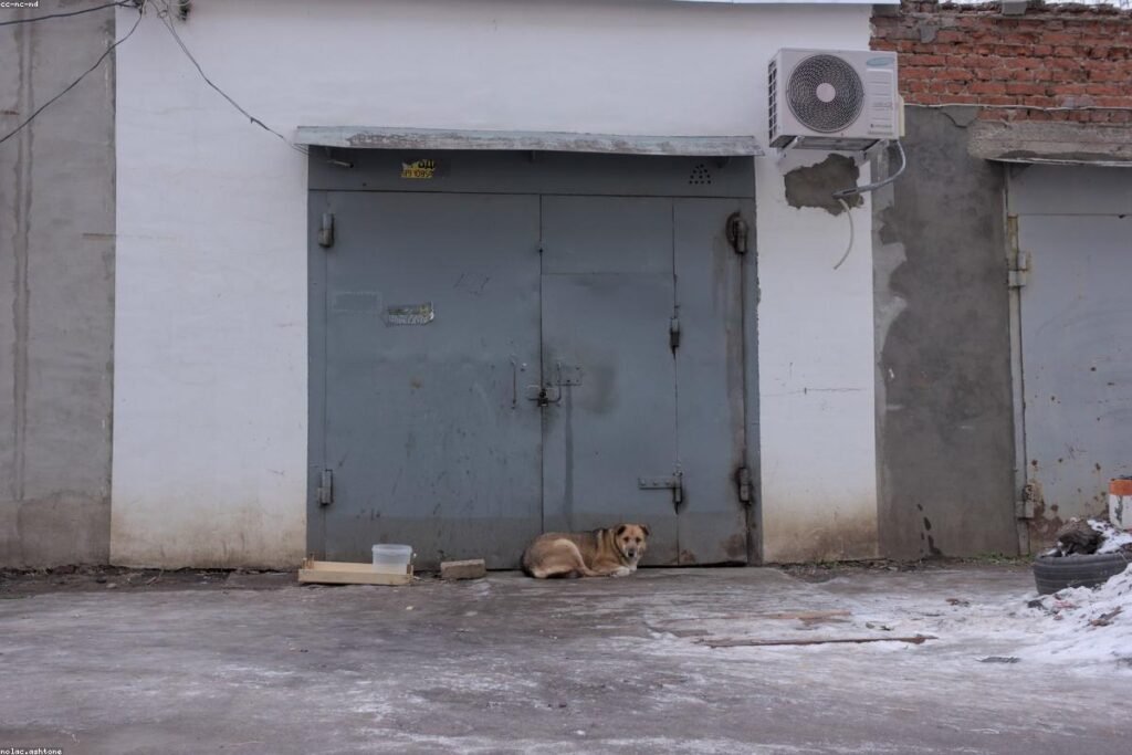 صورة air conditioner - دليل شامل