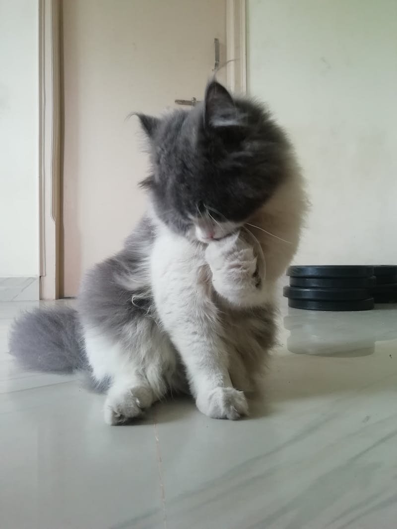 استهلاك بطارية الايفون: حلول مذهلة وسريعة! - صورة 2