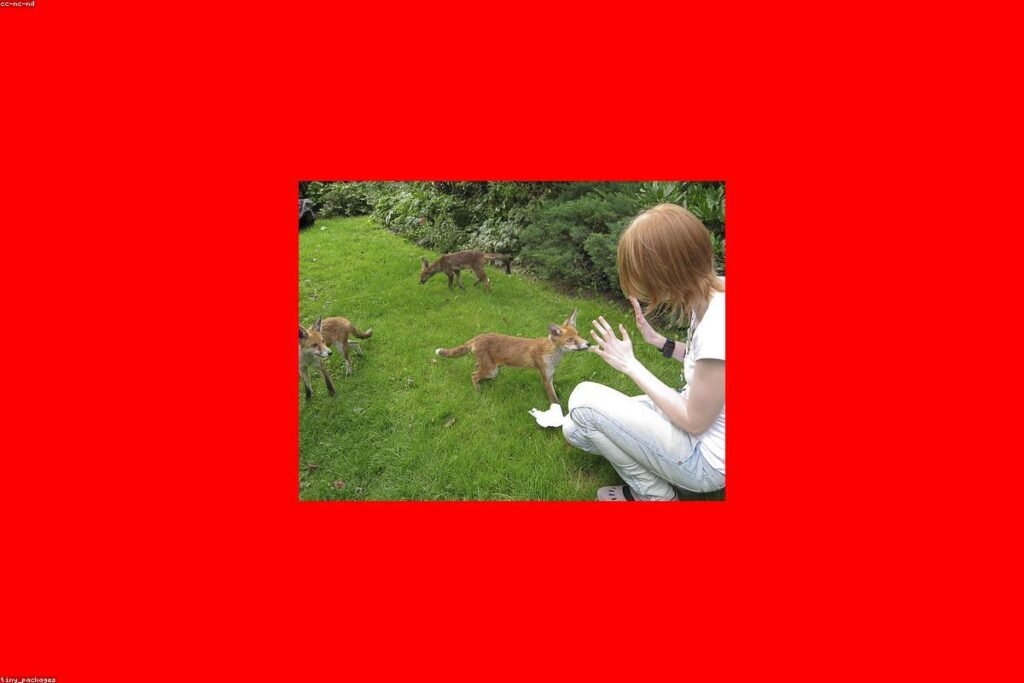 صورة bread maker kitchen - دليل شامل