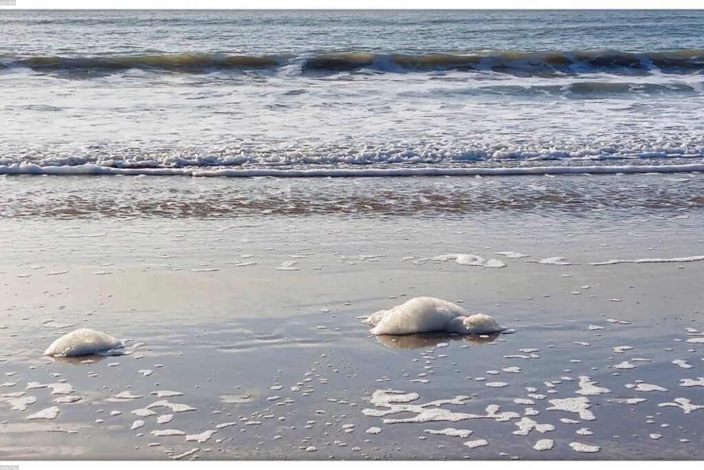 صورة camera - دليل شامل