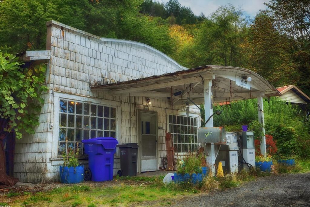 صورة camera - دليل شامل