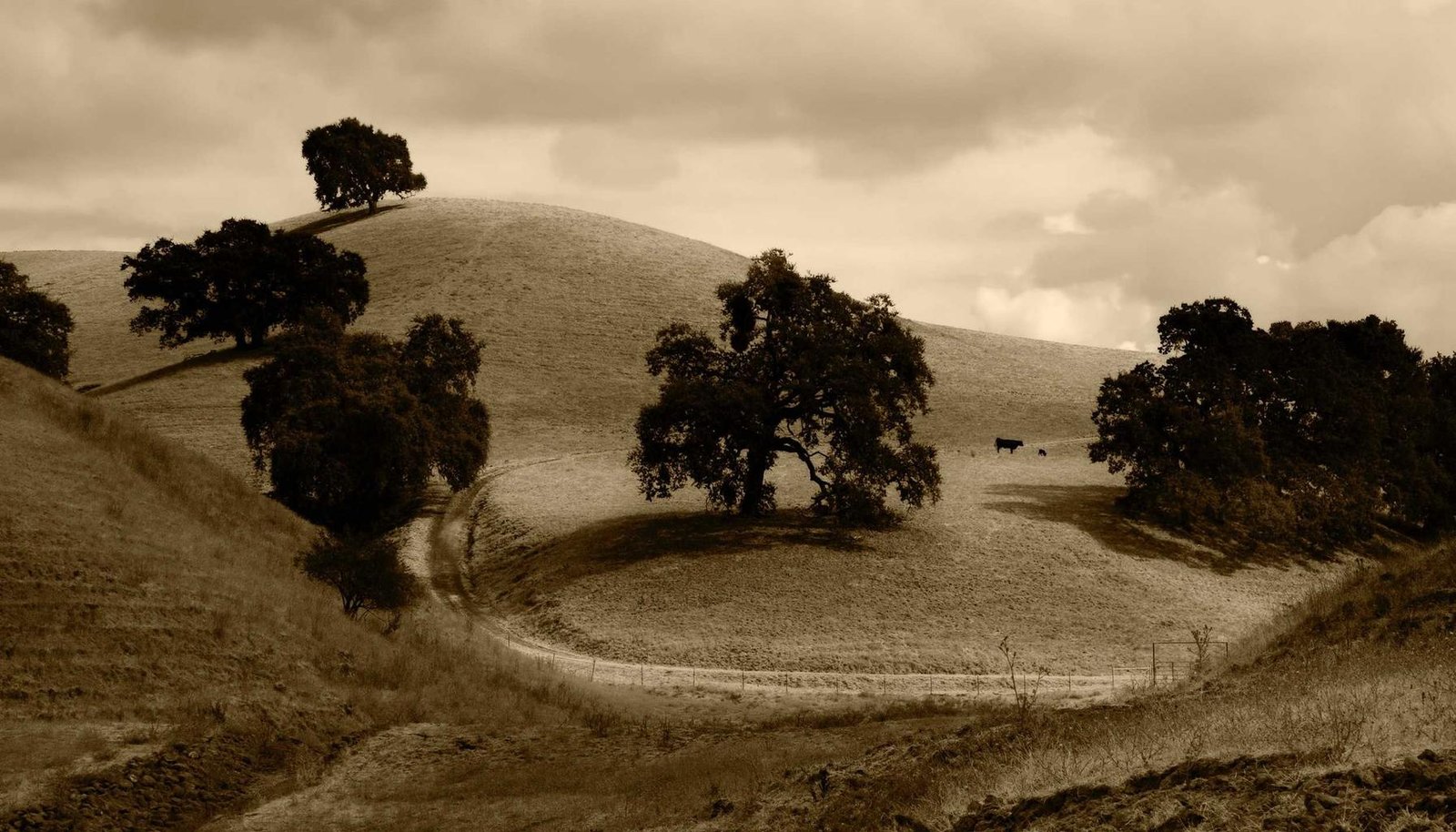 شرح تفصيلي: 7 أسباب وحلول لمكيف كاريير لا يبرد