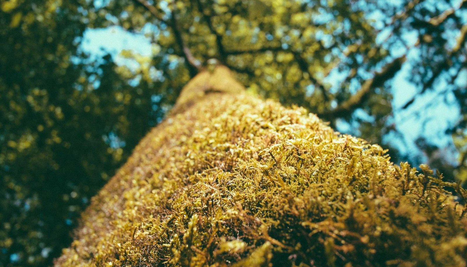 شرح تفصيلي: حل مشكلة بطء الإنترنت في زين: 7 خطوات مضمونة لتسريع الشبكة