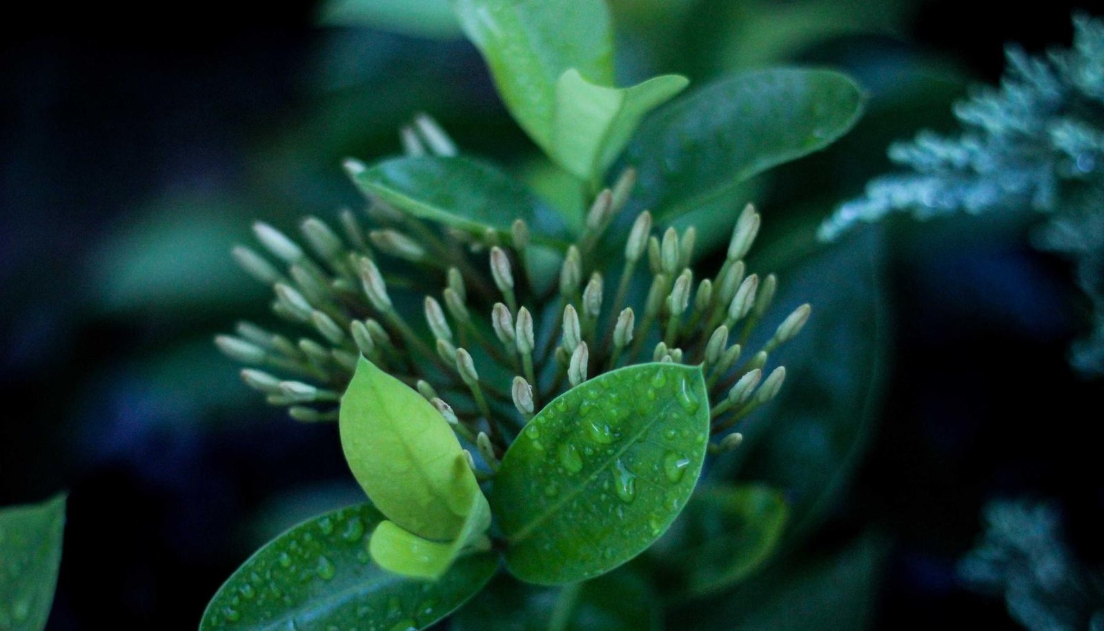 شرح تفصيلي: مكيف جري يصدر صوتاً عالياً: 7 أسباب وطرق الإصلاح الصحيح