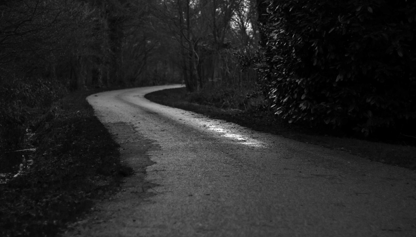 شرح تفصيلي: ضوء التحذير في سيارات هيونداي