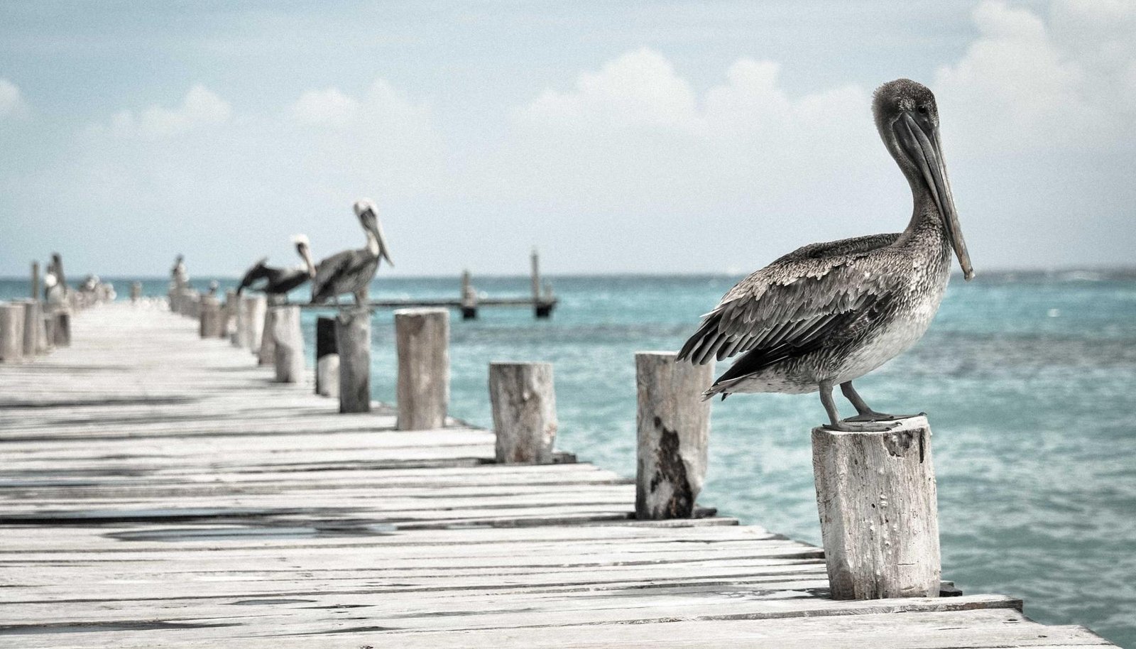 شرح تفصيلي: 7 خطوات بسيطة لإصلاح غسالة توشيبا لا تعمل