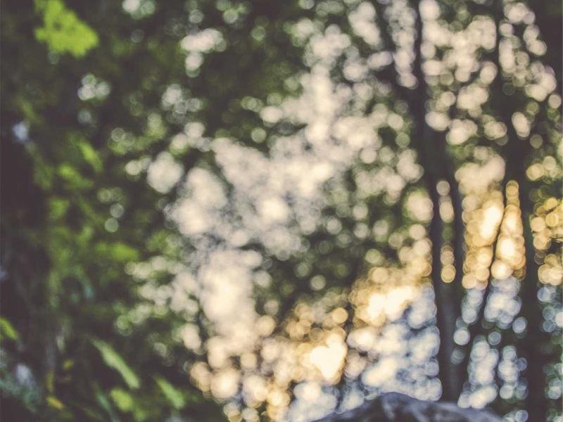 صورة توضيحية: أفضل غسالات الصحون لعام 2026 ومقارنة شاملة