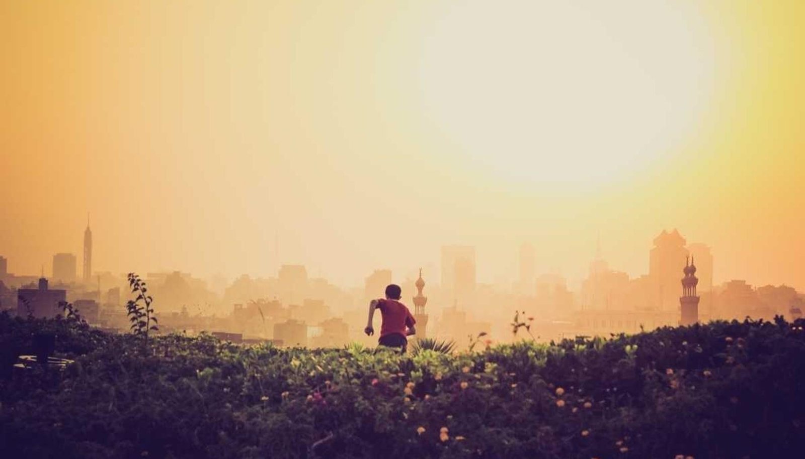 سيارة في حرارة الصيف