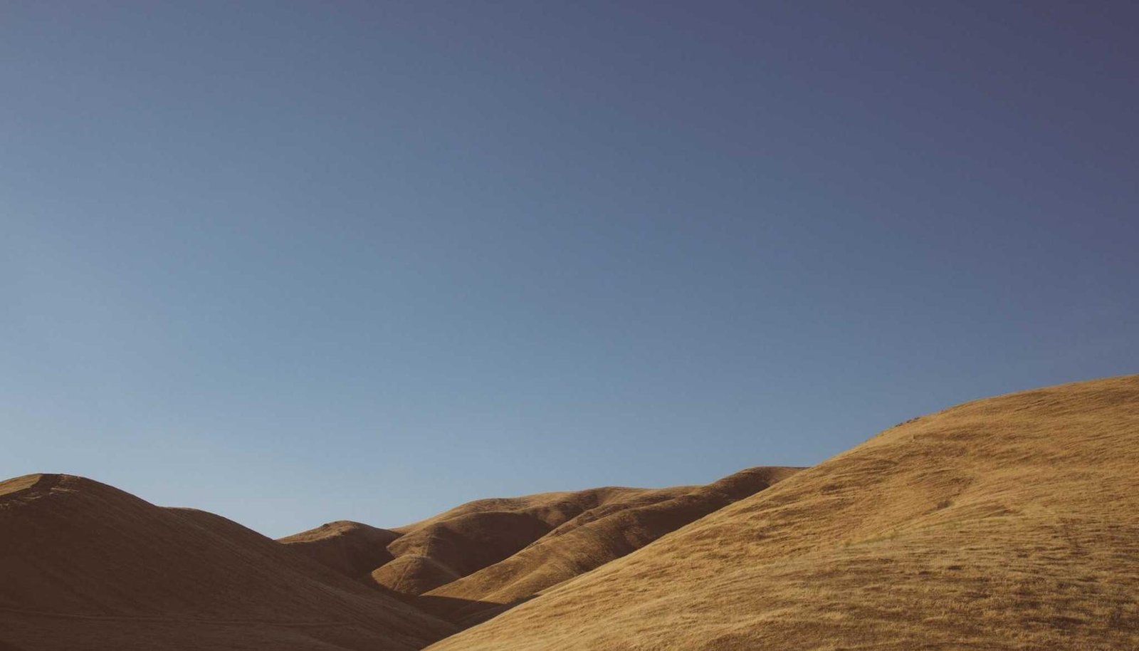 تلفزيون ذكي