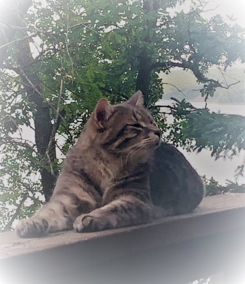 مشاكل بطارية الايفون - تشخيص وحلول