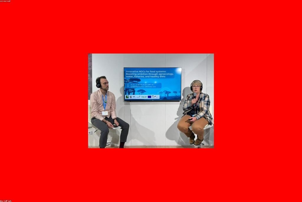 صورة monitor screen - دليل شامل