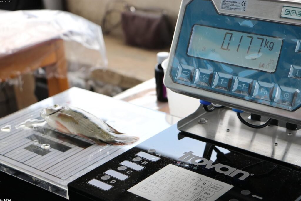 صورة monitor screen - دليل شامل