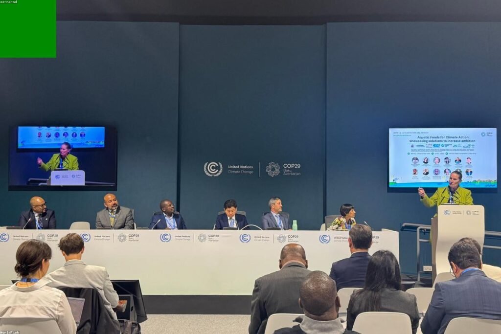 صورة monitor screen - دليل شامل