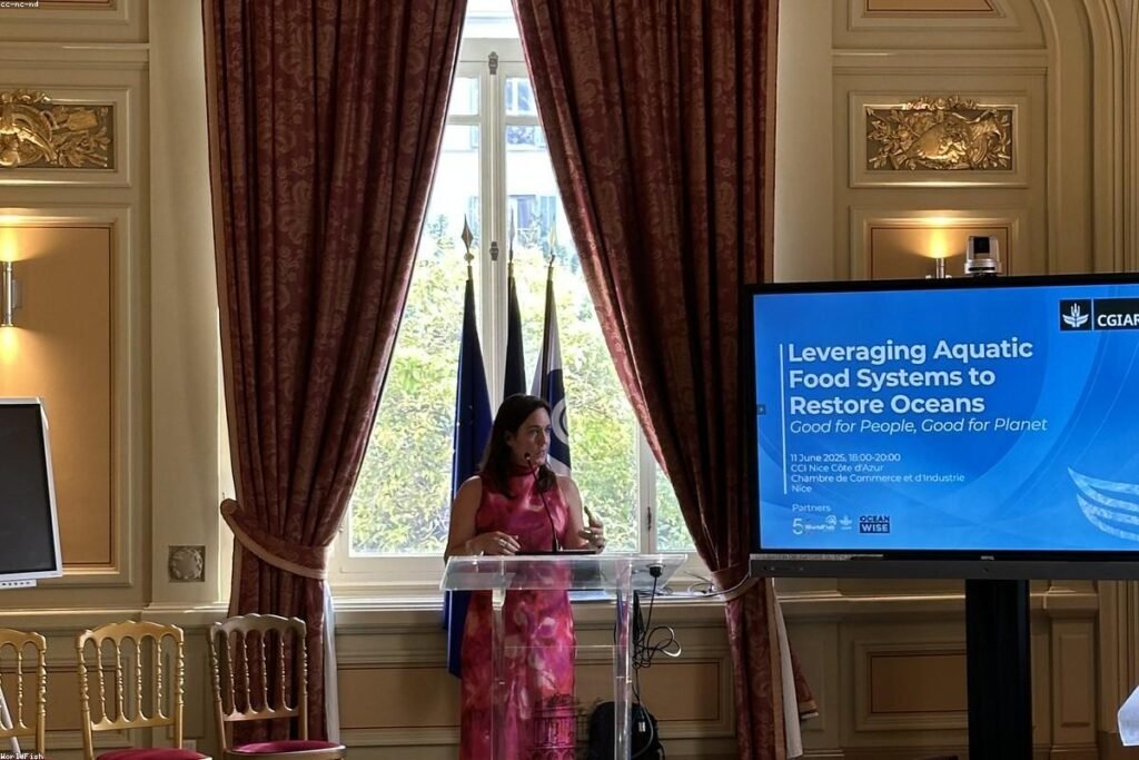 صورة monitor screen - دليل شامل