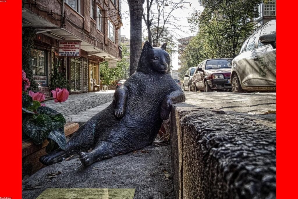 صورة monitor screen - دليل شامل