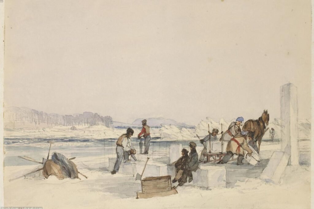 صورة refrigerator - دليل شامل