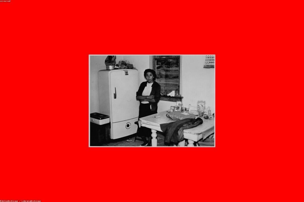 صورة refrigerator - دليل شامل