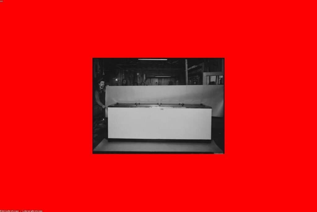 صورة refrigerator - دليل شامل