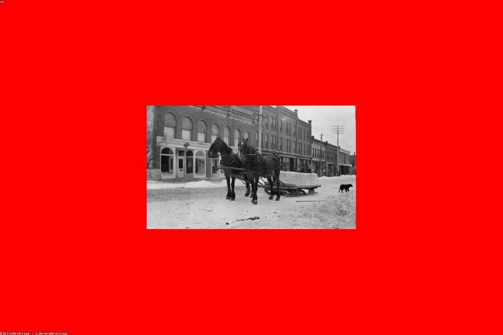 صورة refrigerator - دليل شامل