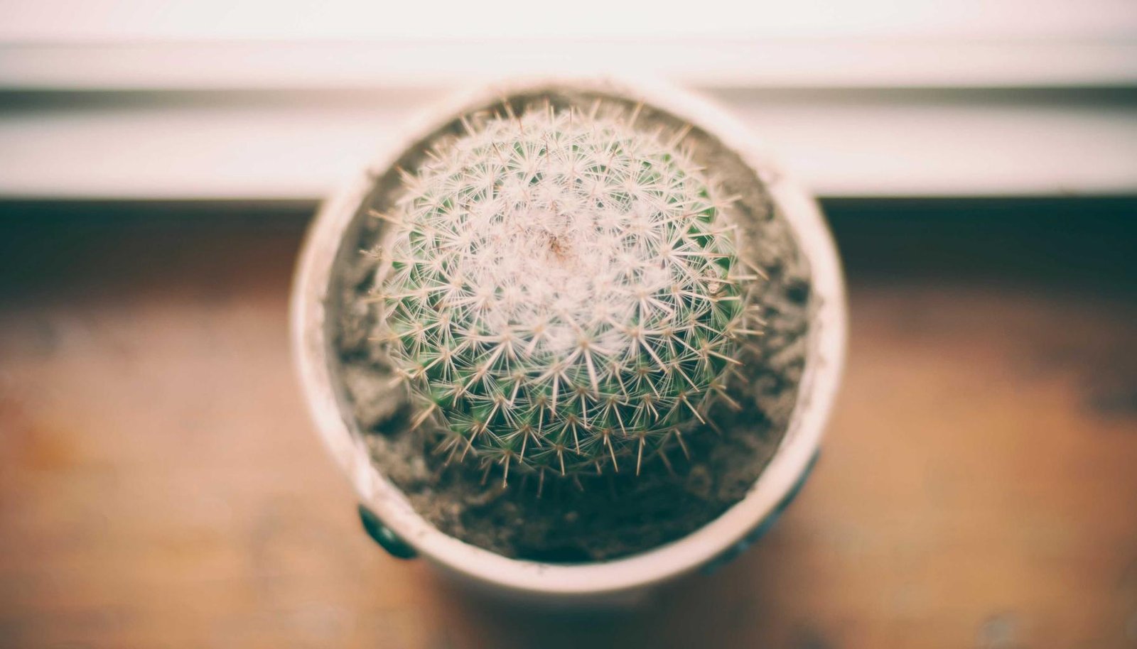 غسالات صحون سامسونج 2026 – دليل الشراء الشامل