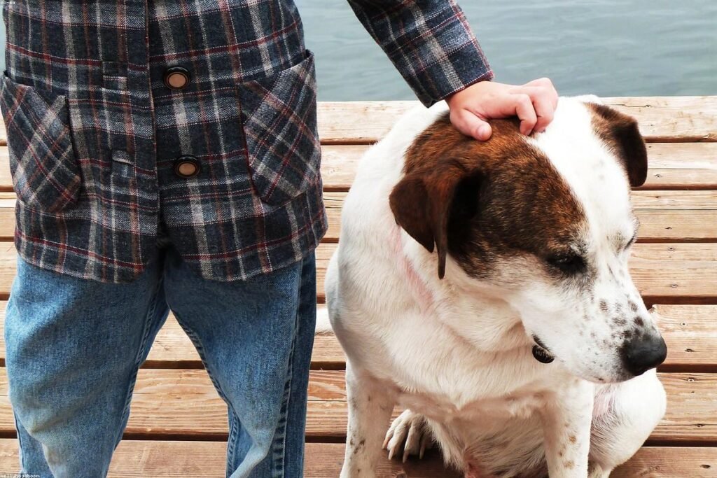 صورة television smart screen - دليل شامل