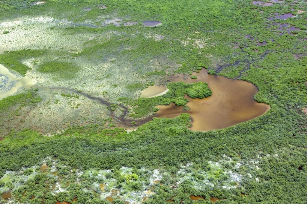 صورة water heater appliance - دليل شامل