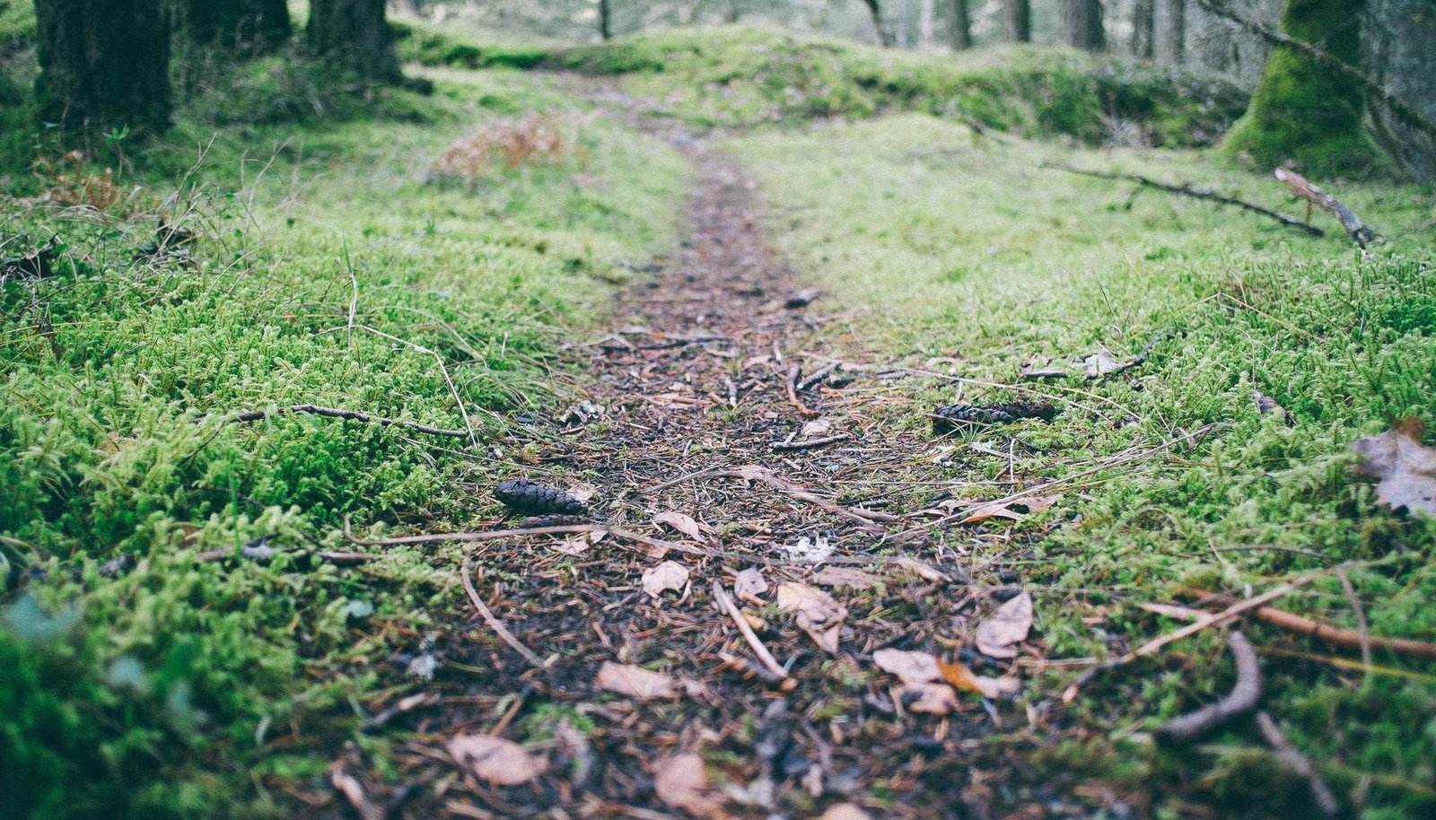 صورة توضيحية: مشاكل السيارات الشائعة في الشتاء وطرق حلها – دليل شامل