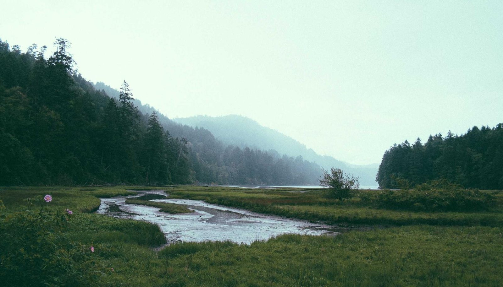 صورة توضيحية: أفضل ساعات ذكية في السعودية 2026 – دليل الشراء