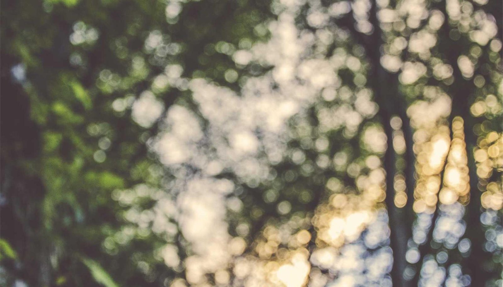 غسالة صحون متطورة