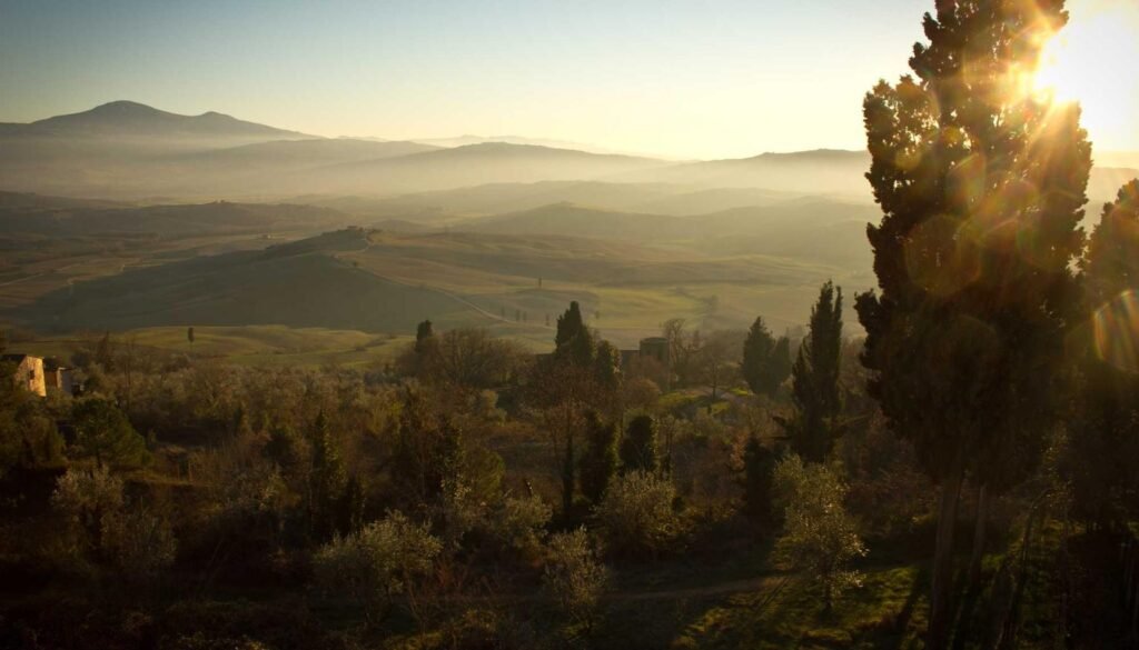 دليل شراء مكواة البخار