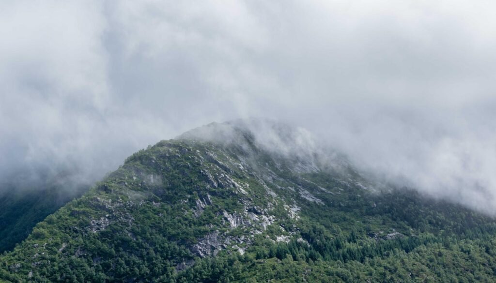 كيفية اختيار الغسالة المناسبة للعائلة