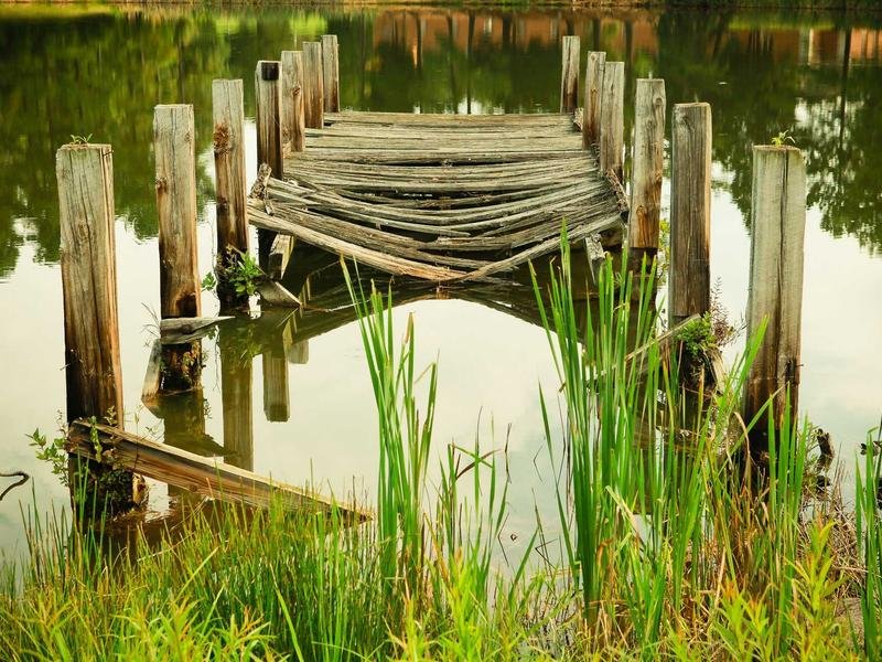 تطبيقات الربح