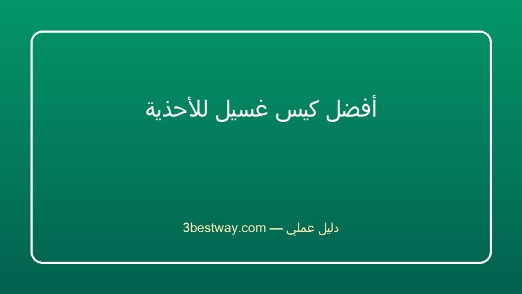 أفضل كيس غسيل للأحذية