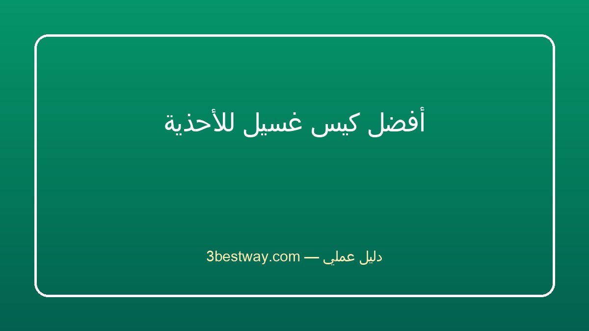 أفضل كيس غسيل للأحذية