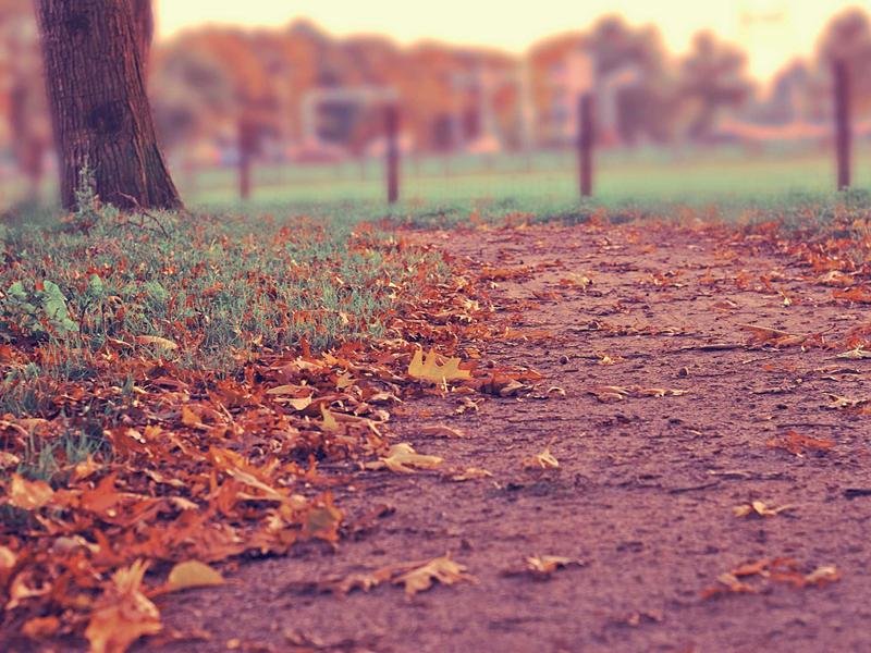 المكيف يصدر رائحة عفن عند التشغيل — فلاتر ملوثة أم عفن داخلي؟