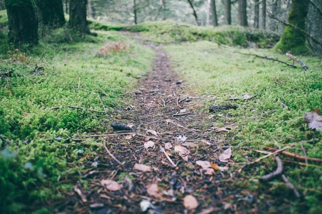 الجوال لا يتعرف على بطاقة الذاكرة